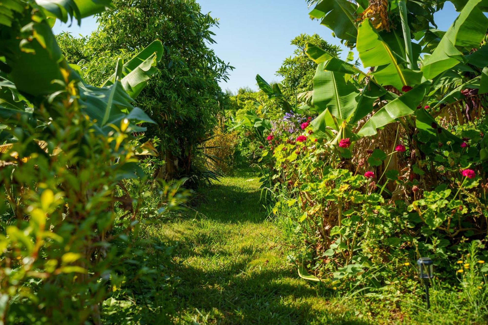 Bed and Breakfast The Plantation Faial Feteira  Esterno foto